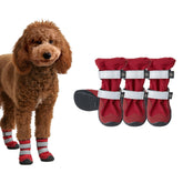 Spark Paws dog shoes on dog's feet in red size 4 for all-season walks