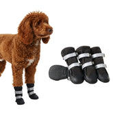 Spark Paws dog shoes on a dog protecting paws during daily outdoor adventures.
