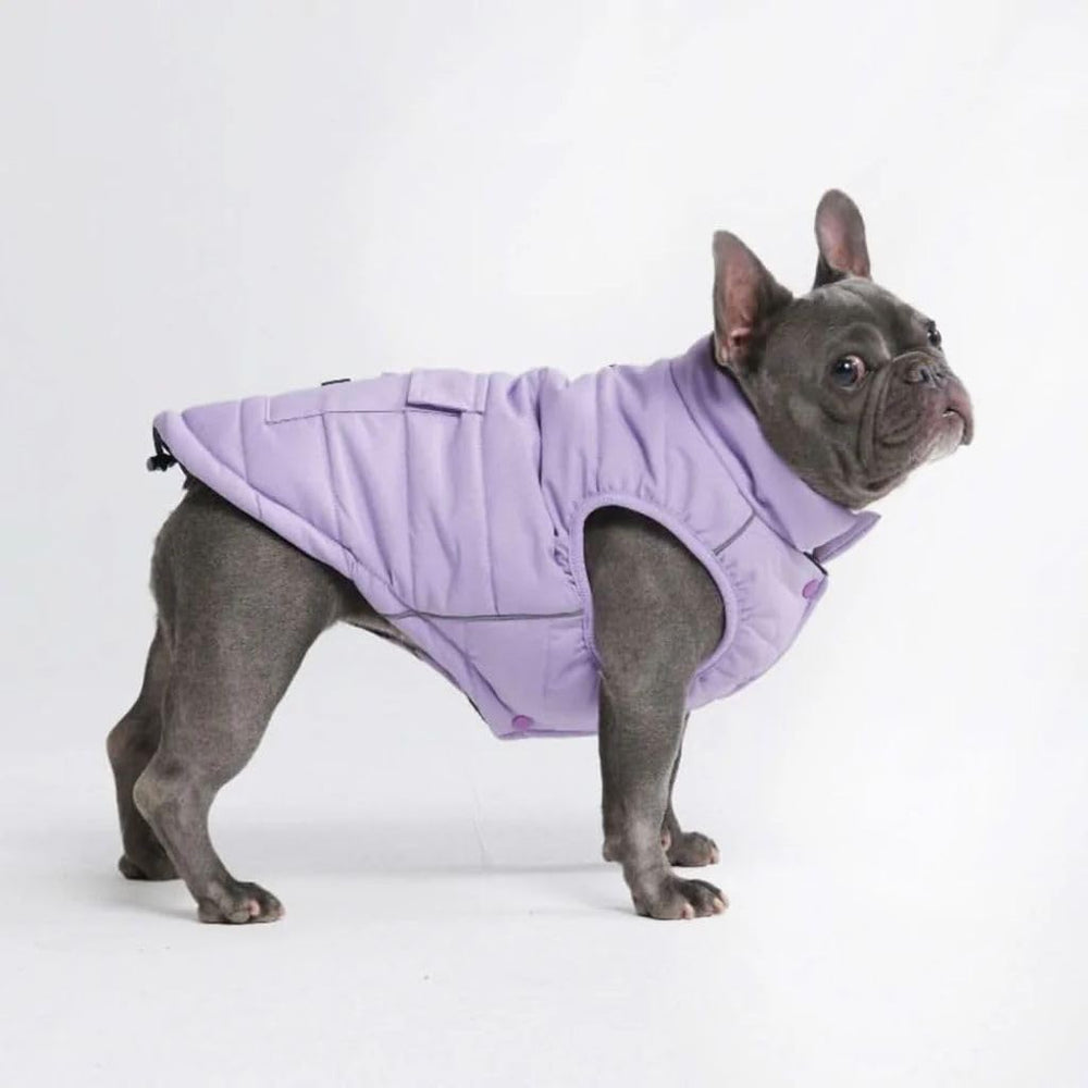 Spark Paws dog winter jacket front view lilac shows warmth and water resistance for cold walks