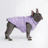 Spark Paws dog winter jacket front view lilac shows warmth and water resistance for cold walks