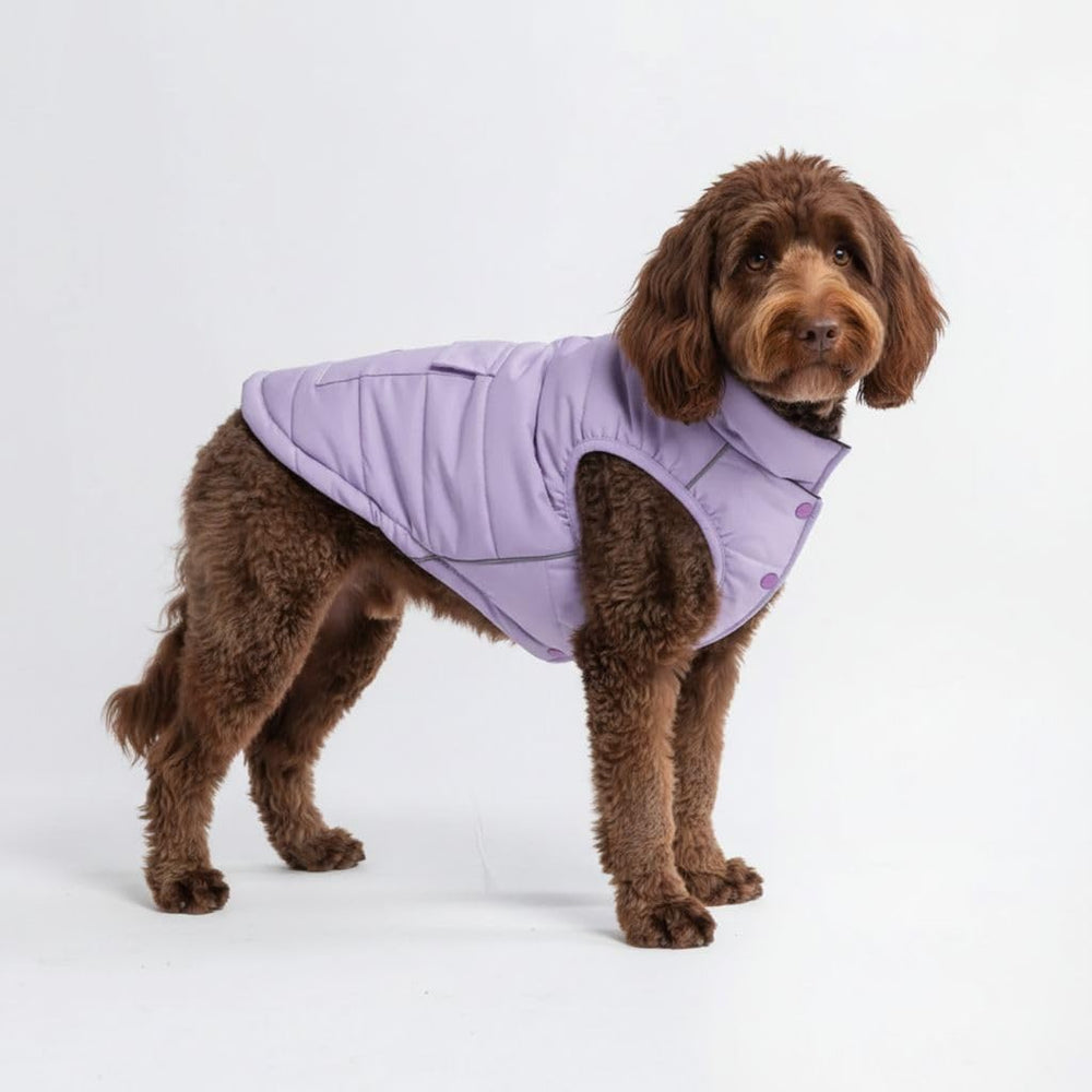 Spark Paws Lilac XXL dog winter jacket front view shows warm fleece lining