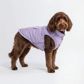 Spark Paws Lilac XXL dog winter jacket front view shows warm fleece lining