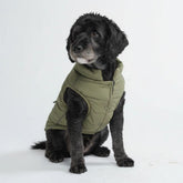 Spark Paws dog winter jacket olive front view highlighting warmth and fit