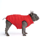 Spark Paws dog winter jacket on a snowy walk, showcasing water resistance for cold days.