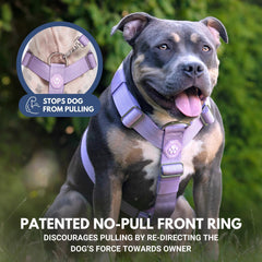 Spark Paws No Pull harness highlighting chest and torso adjustment points for a custom fit.