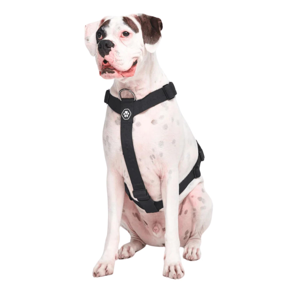 Spark Paws No Pull Harness front clip enhances control on walks for large dogs.