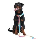 Spark Paws No Pull Harness front clip Pastel Icing for confident, controlled long walks