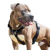 Spark Paws No Pull Harness front view highlights heavy-duty nylon and reinforced stitching for strong dogs.