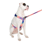 Spark Paws No Pull Harness Kaleidoscope-01 front clip for easier control on large dogs.