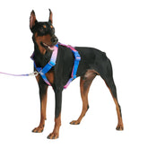 Spark Paws No Pull Harness for large dogs with front clip enables confident control on walks