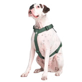 Spark Paws no-pull harness with front clip in solid green for easier control on large dogs