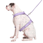 Spark Paws No Pull Harness front view showing front clip for better control