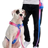Spark Paws No Pull Harness Snow Cone front view enhances secure control for powerful large dogs on walks