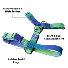 Spark Paws No Pull Harness Lime Wave S adjustable straps illustrate snug fit for various chest sizes