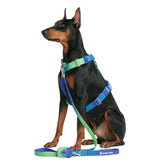 Spark Paws No Pull Harness Lime Wave S side view shows heavy-duty construction for large dogs