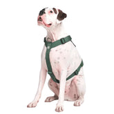 Spark Paws No Pull Harness solid green front clip for secure daily walks