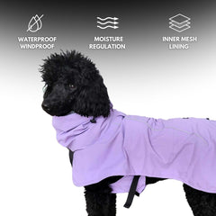 Spark Paws reflective strips boost nighttime visibility.