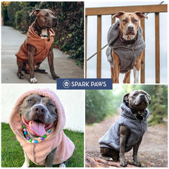 Spark Paws hood button closure demonstrates secure hood during active play.