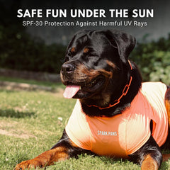 Spark Paws Sunblock Dog T-Shirt guards against dirt and allergens during outdoor adventures.