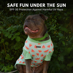 Spark Paws Sunblock Dog T-Shirt Lightweight Breathable fabric keeps dogs comfortable