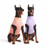 Spark Paws Sunblock Dog T-Shirt set in purple and peach with SPF30 protection for sunny outings.