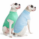 Spark Paws Sunblock Dog T-Shirt blue-mint pack 2XL sun-ready SPF30 protection.