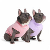 Spark Paws Sunblock Dog T-Shirt front view in purple-pink set with SPF30 protection