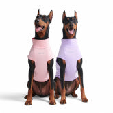 Spark Paws Sunblock Dog T-Shirt packaging shows two-color set for easy sun protection