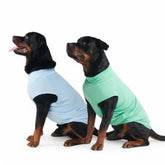 Spark Paws Sunblock Dog T-Shirt on display with SPF 30 protection for sensitive skin.