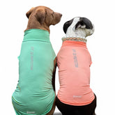 Spark Paws Sunblock Dog T-Shirt SPF30 UV protection for sunny days.