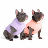 Spark Paws Sunblock Dog T-Shirt UV protection for dogs shielding sensitive skin during sun