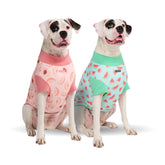 Spark Paws Sunblock Dog T-Shirt Watermelon front wear showcases SPF30 protection during sunny walks.