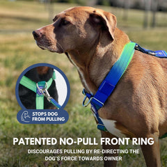 Spark Paws Tactical Collar and Leash pairing demonstrates a complete action-ready setup