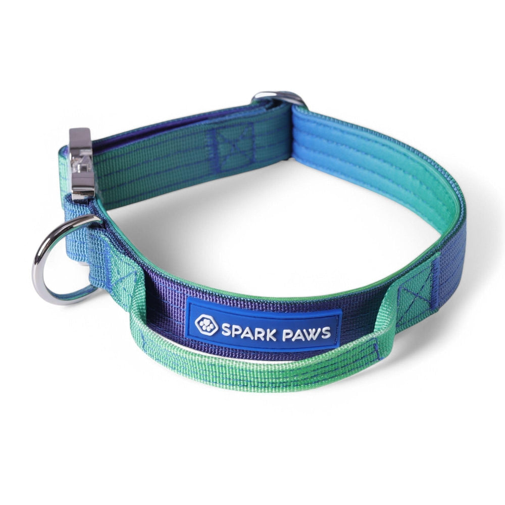 Spark Paws Tactical Collar Lime Wave close-up buckle showing rugged durability