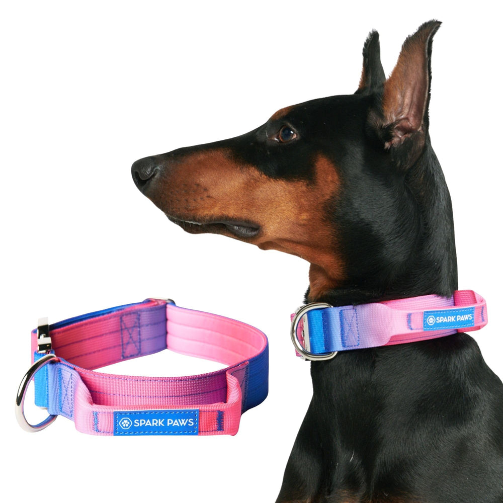Spark Paws Tactical Collar with Handle shown on large dog for safer walks