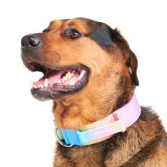 Spark Paws Tactical Dog Collar rugged nylon with metal buckle for durability.