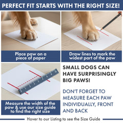 Spark Paws waterproof dog boots show breathable protection in wet weather.