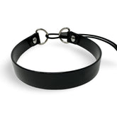 SparkDog HiFlex replacement strap front view demonstrates durable BioThane coating for long-lasting training wear.