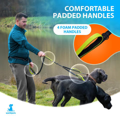 SparklyPets 360-degree rotation allows dogs to move freely on walks.
