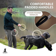 SparklyPets dog leash reflective stitches improve visibility for safe evening walks.