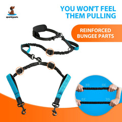 SparklyPets double leash with reflective stitches improves visibility for dusk strolls.