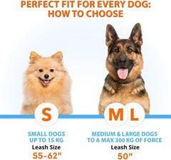 SparklyPets dual dog leash with 360° swivel to prevent tangles during walks.