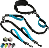 SparklyPets Hands Free Double Leash with padded handles enables comfortable control on city walks.