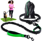 SparklyPets hands-free leash belt clips secure walking setup for safety and balance