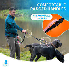 SparklyPets reflective stitches enhance visibility for safer evening dog walks.