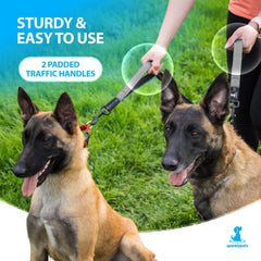 SparklyPets 360 swivel prevents tangling for smooth, enjoyable walks.