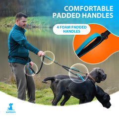 SparklyPets dual-leash mode supports hands-free and hands-on use for versatile daily walks.