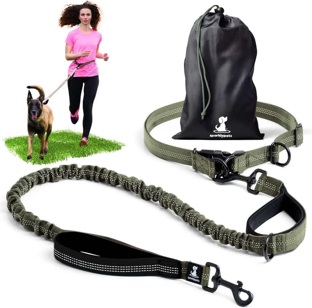 SparklyPets waist leash belt clip secures the fit while keeping hands free during runs