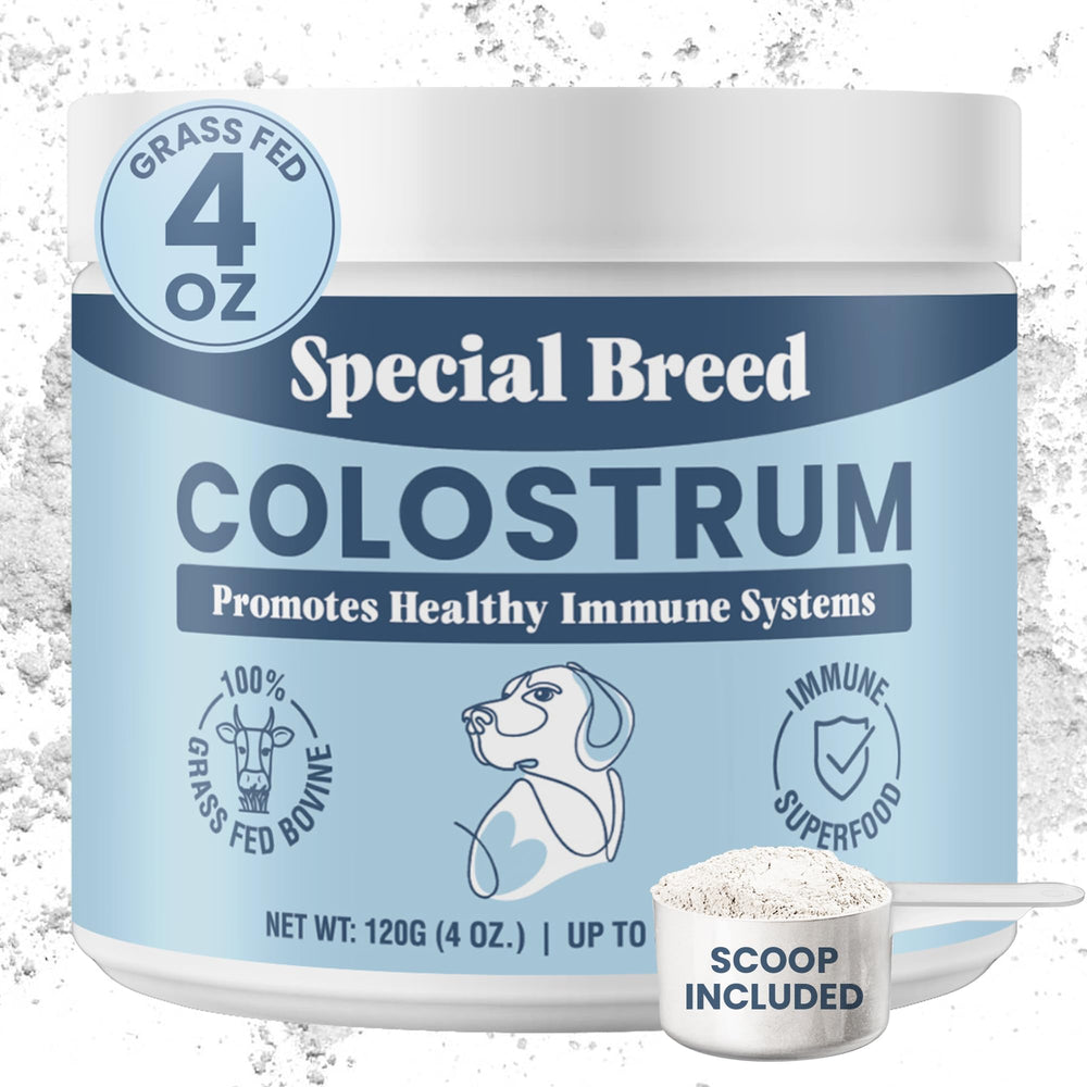 Special Breed bovine colostrum powder jar supports pet immune health with grass-fed ingredients