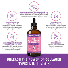 Special Breed Collagen for Dogs skin and coat glow indicating radiant coat health